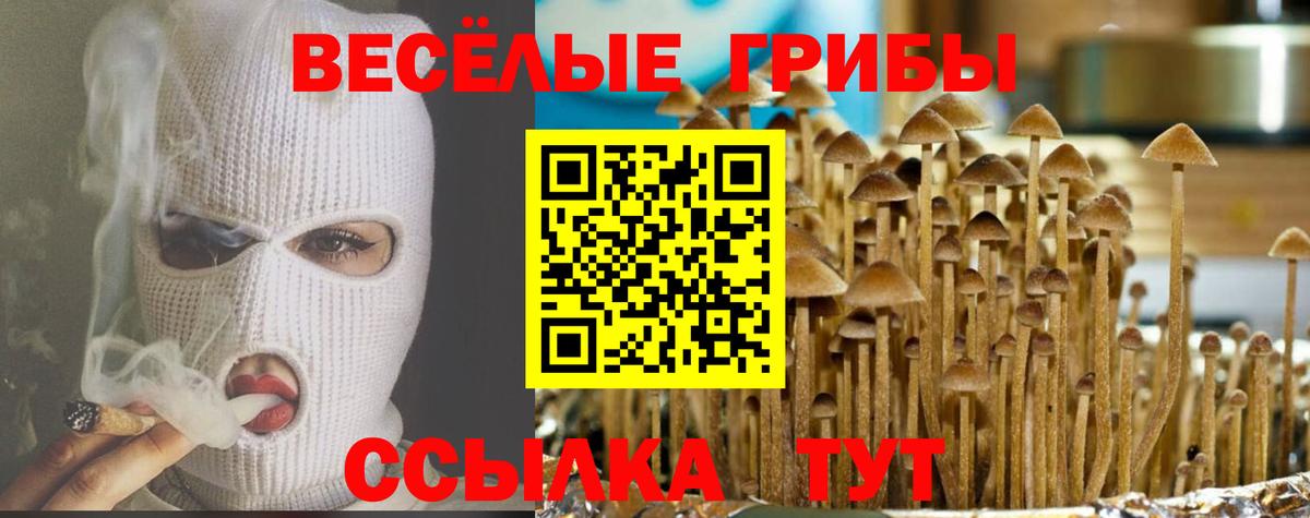 Галлюциногенные грибы прущие грибы  Вход с VPN  Арзамас 