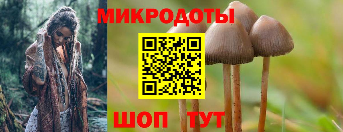 Псилоцибиновые грибы прущие грибы Арзамас